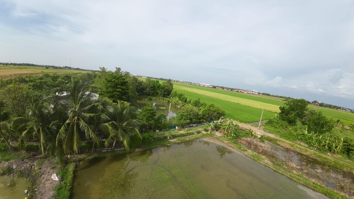 ที่ดินใกล้ถนน 346 ปทุมธานี 1