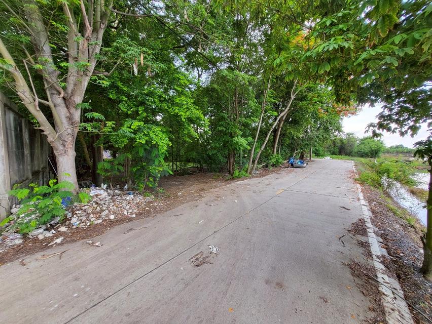 ขายด่วนน ที่ดินไทรน้อย แปลงสวย ทำเลทอง ใก้ลวัดมะสง 4