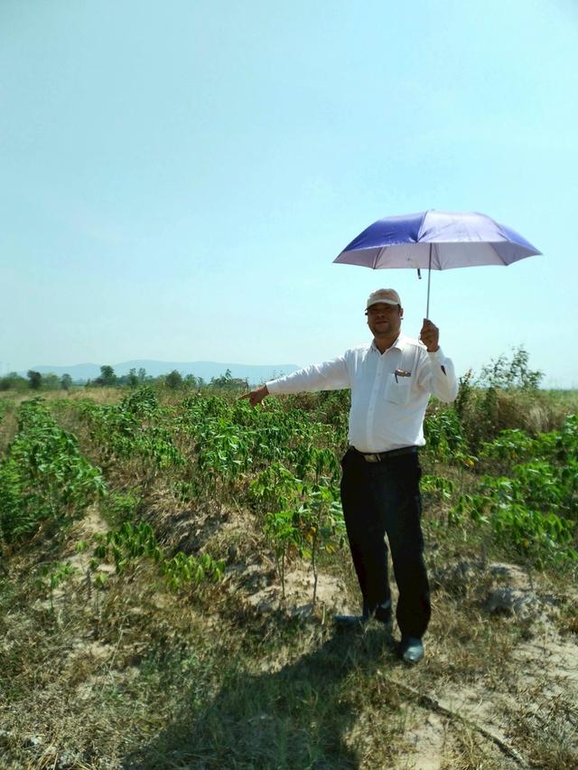 ที่ดินทำการเกษตร เหมาะกับการปลูกพืชไร่ 10