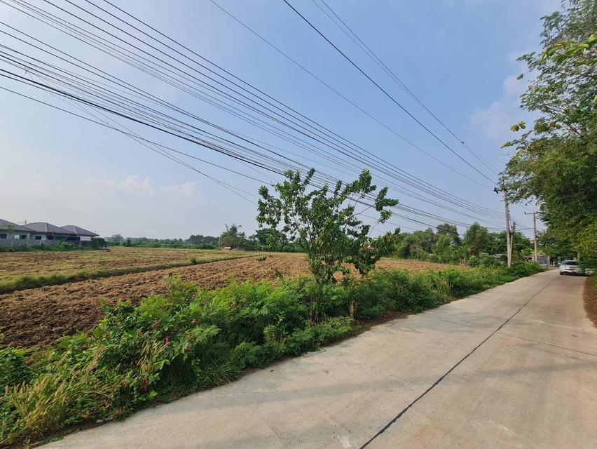 ที่ดิน อ.แปลงยาว จ.ฉะเชิงเทรา 2