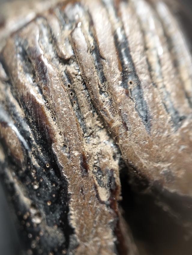 ขายพระเครื่องพระบูชา รูปที่ 3