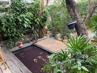 ให้เช่าบ้านเดี่ยว 2 ชั้น 200 ตรว. ซอยลาดพร้าว 128 ใกล้ MRT สถานีลาดพร้าว 101 เหมาะอยู่อาศัยหรือทำธุรกิจ 4