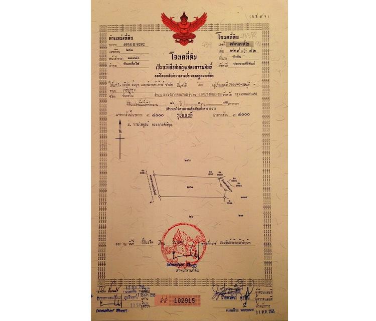 ที่ให้เช่า หัวหิน ประจวบคีรีขันธ์ ติดถนนใหญ่ 57 ไร่ 6