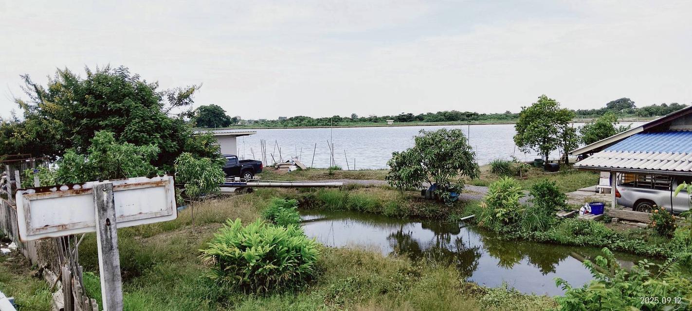 📢⛳ขายที่ดิน บางปลา (คลอง2) สมุทรปราการ ยังไม่ถม ⛳ 12