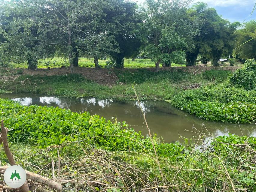 📣ขายที่ดิน ติดถนนใหญ่สายหลัก ด้านหลังติดแม่น้ำภาชี พร้อมสวนยาง อายุ 10 ปี เนื้อที่ 10 ไร่ 6