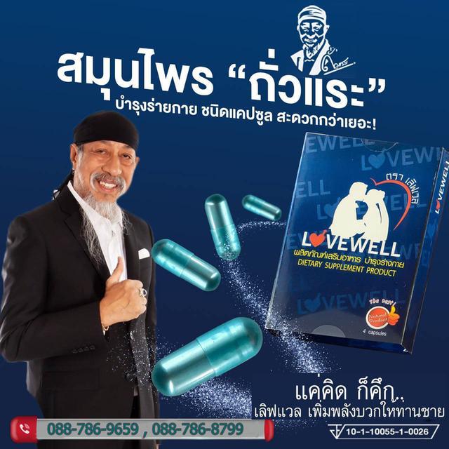 เลิฟเวล LOVEWELL 
