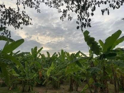 ขายที่ดินทำเลทอง! หมู่บ้านช่างทอง ต.สุเทพ อ.เมืองเชียงใหม่ ใกล้มหาวิทยาลัยเชียงใหม่ (หลัง มช.)