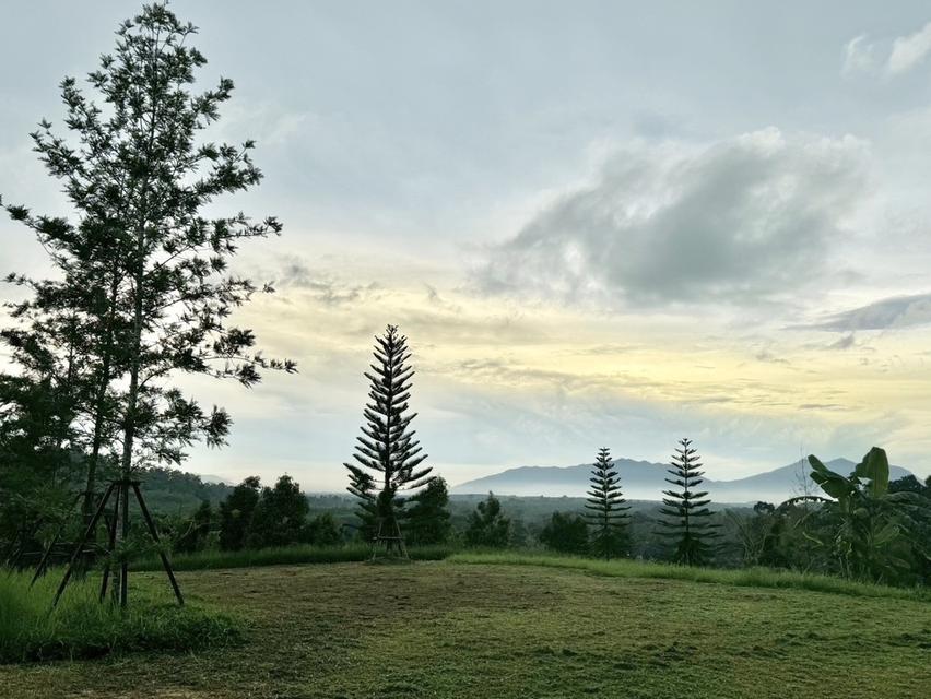 ขายสวนทุเรียนขั้นบันได + บ้านพักสไตล์รีสอร์ท บนเนินเขา วิวหลักล้าน 7