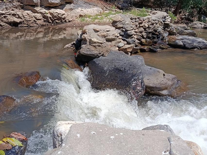 ขายที่ดินวิวธรรมชาติใกล้น้ำตกแม่ยะศักยภาพสูง ใกล้น้ำตกแม่ยะ อ.จอมทอง จ.เชียงใหม่ 10