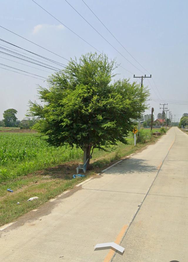 ที่ดิน 7