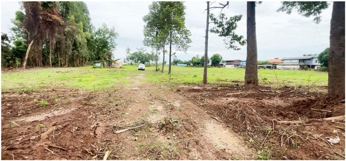 ที่ดินจังหวัดนครสวรรค์ ติดแม่น้ำน่าน 6 ไร่ ราคาต่อรองได้ 7