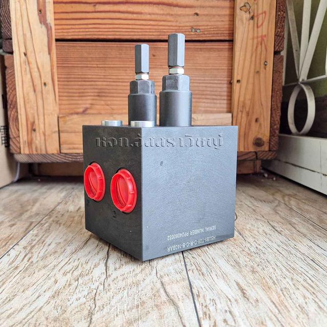 เซฟตี้วาล์ว (Safety valve block) HOF HSUB1-T06 3