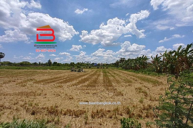  ที่ดินเปล่า ถนนปทุมธานี-บางปะหัน (347) เนื้อที่ 2-2-0 ไร่ ใกล้ตลาดพูนทรัพย์ ถนนปทุมธานี-บางปะหัน (347) ตำบลเชียงรากใหญ่ อำเภอสามโคก จังหวัดปทุมธานี 7