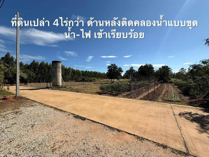 ขายที่ดิน เนื้อที่ 4ไร่ 2งาน 11วา หนองปรือ พนัสนิคม ชลบุรี 🏔️⛰️ สนใจติดต่อได้นะคะ 0958459574 โอ๊ต 11
