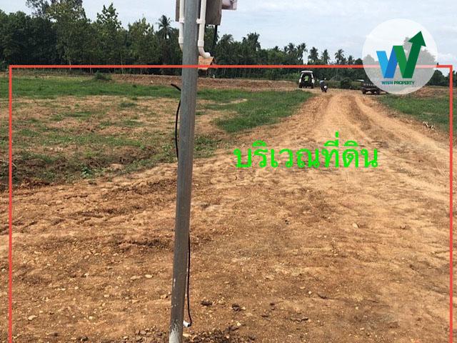 ด่วน ประกาศขายที่ดินเปล่าทำเลดีใกล้วัดผาซ่อนแก้ว 3