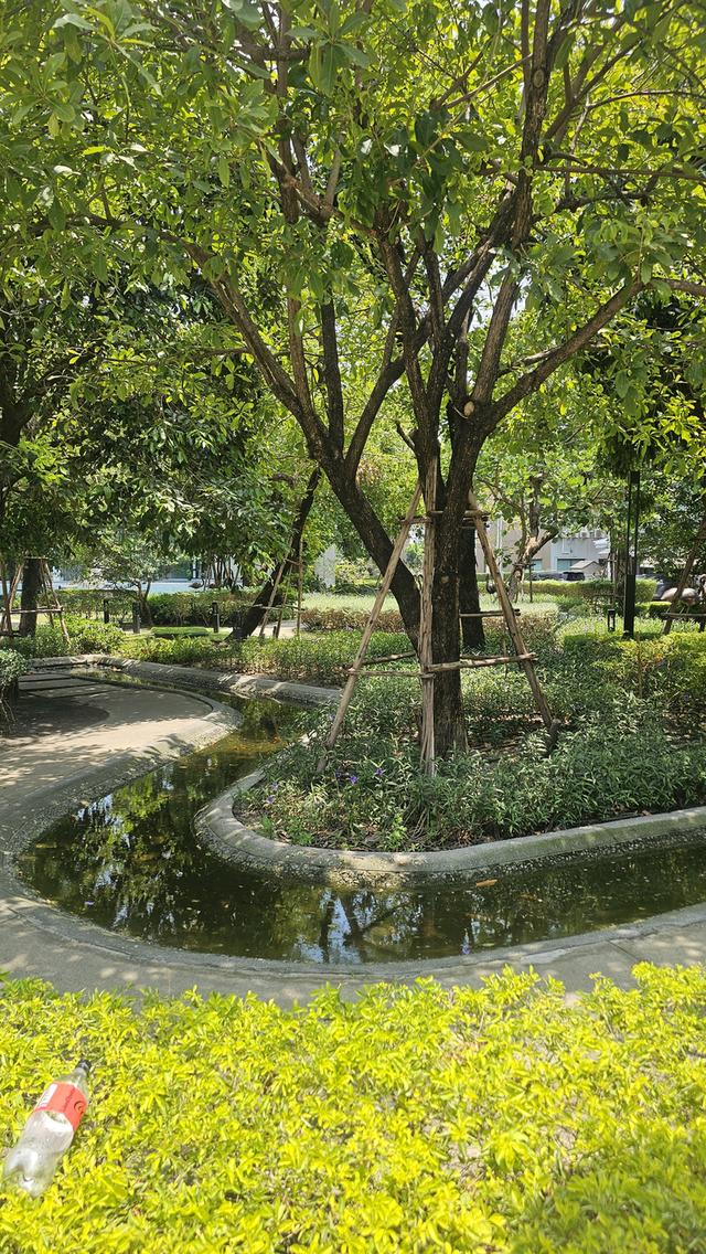 หมู่บ้าน บ้านกลางเมือง  ซอยกาญจนาภิเษก 23 แขวงทับช้างเขตสะพานสูง กรุงเทพฯ เลขที่ 99/51 ทาวน์โฮม 3 ชั้น 3 ห้องนอน 3 ห้องกินข้าวและห้องครัว ต่ 5