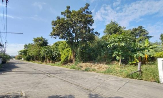 ที่ดิน 1 ไร่ โซน มทส. 6