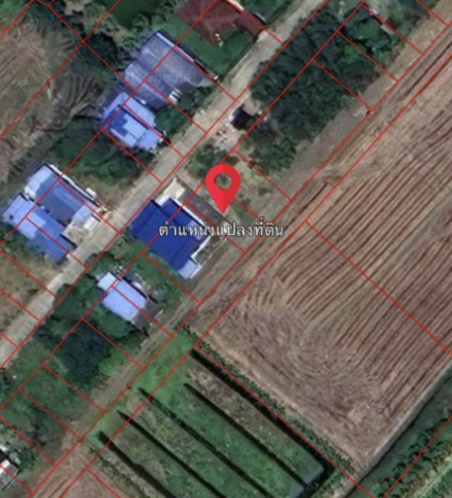ขายด่วน ที่ดิน แปลงสวย ถมแล้ว เนื้อที่ 114 ตรว. ซ.ดงรักพัฒนาต.ทวีวัฒนา อ.ไทรน้อย จ.นนทบุรี 2
