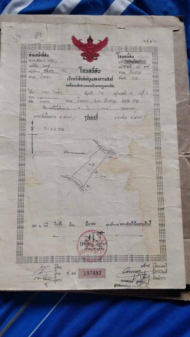 ที่ดินลำพูน ถ่มล้อมรั้ว น้ำ ไฟฟ้า มีครบทุกอย่าง 2