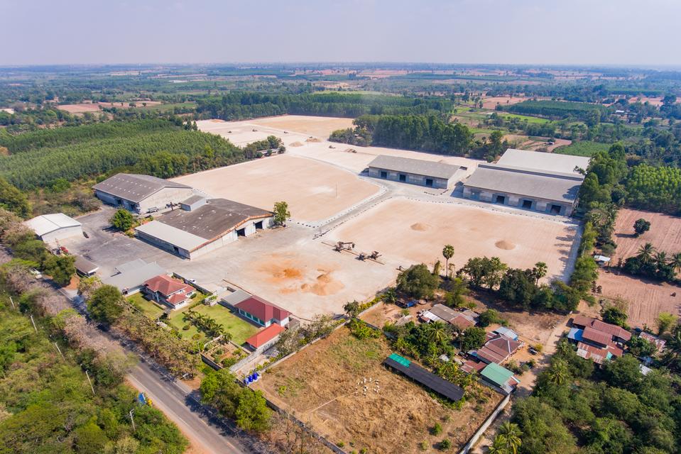 ขาย ที่ดินพร้อมสิ่งปลูกสร้าง โกดัง สำนักงาน 1 ชั้น พร้อมใบประกอบ รง.4 1