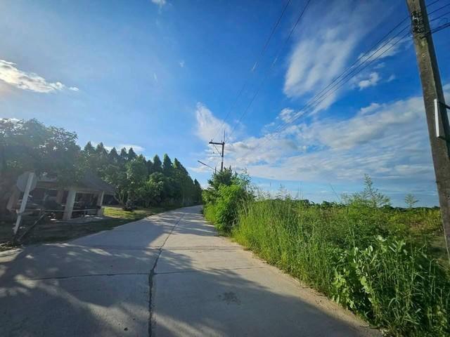 ขายที่ดินสวยพนัสถูกที่สุดในย่านนี้ ขายที่ดิน 47 ไร่ 40 ตารางวา ผังสีเหลือง ต.ทุ่งขวาง อ.พนัสนิคม จ.ชลบุรี 6