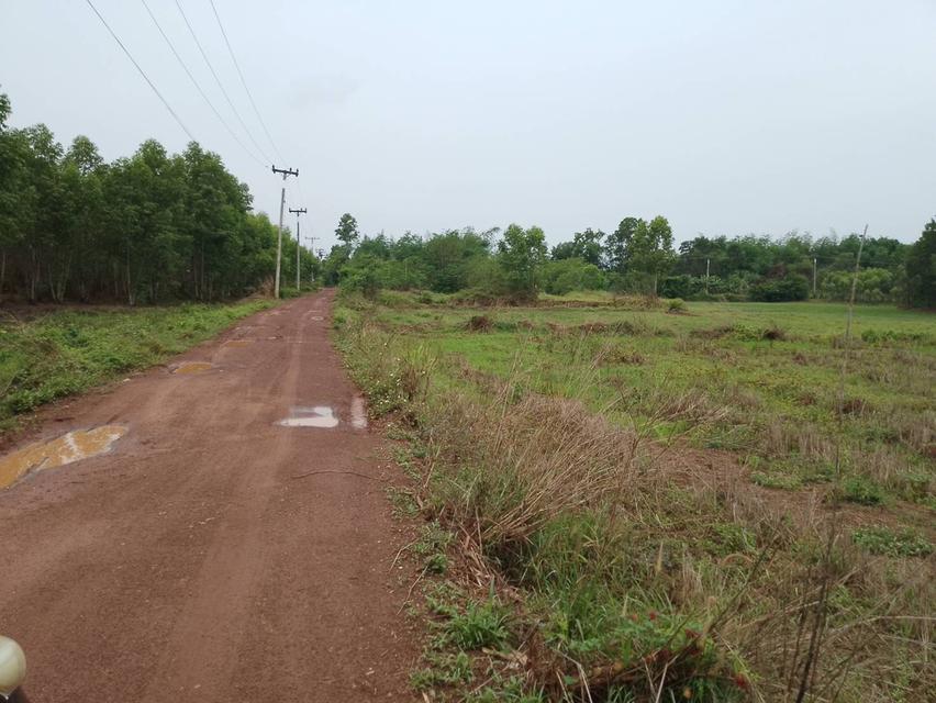 ที่ดินโฉนดครุฑแดงจำนวน22ไร่ราคาไร่ล่ะ120000บาท อำเภอเมืองสระแก้ว