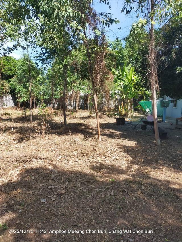 ที่ดินเปล่า ใกล้ห้างเซ็นทรัลชลบุรี 4