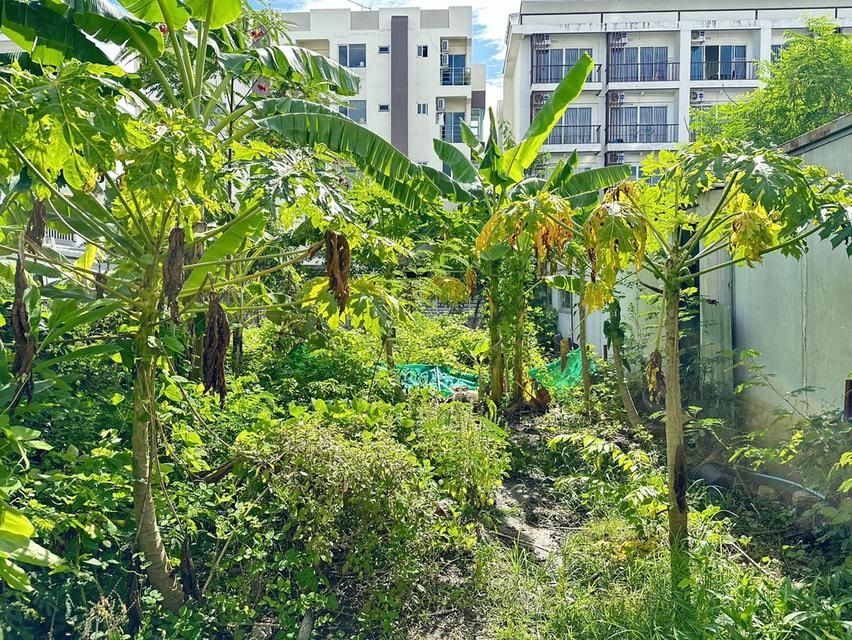 ขายที่ดิน 100 ตร.วา ซ.ประดิษฐ์มนูญธรรม 6 ใกล้ทางด่วน ทำเลชุมชน เข้าเมืองง่าย เดินทางสะดวก 4