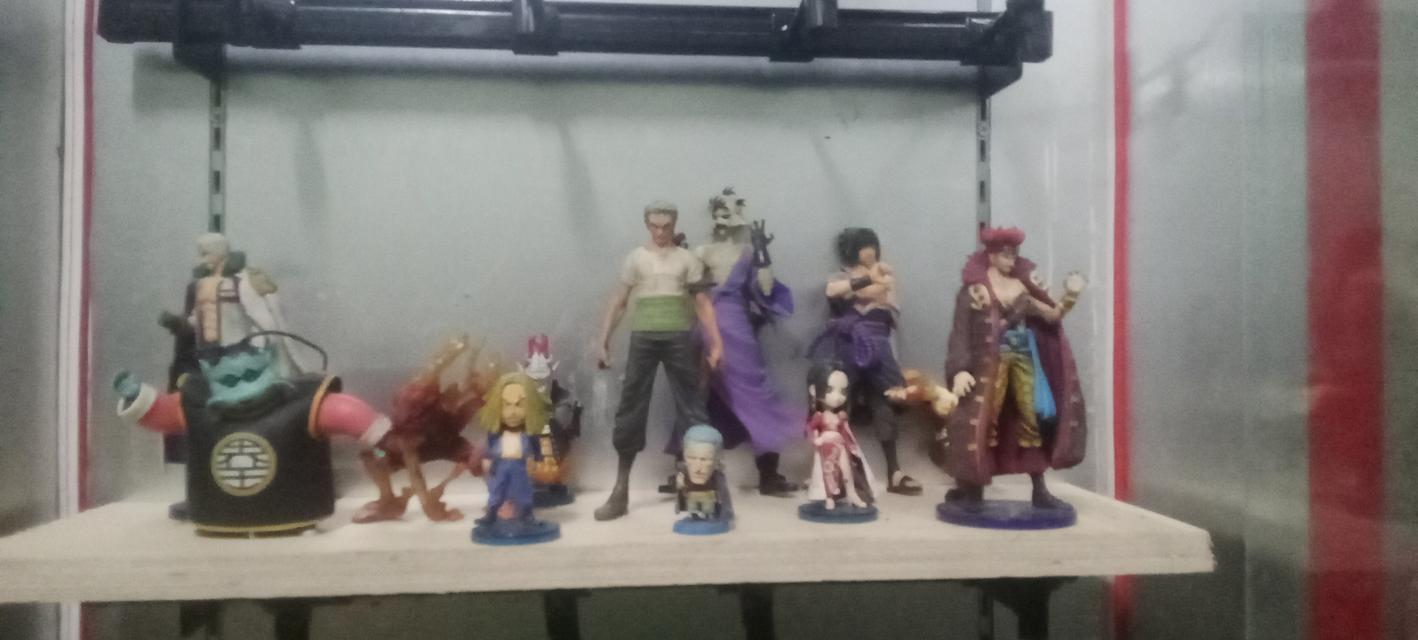 โมเดลวันพืช