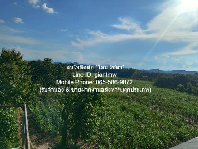 พื้นที่ดิน ขายที่ดินไร่อ้อย เนื้อที่ 45-0-31.9 ไร่ ติดแม่น้ำเลย อ.เมืองเลย จ.เลย, ราคา 18.7 ล้านบาท 18832 ตรว. 18700000  4