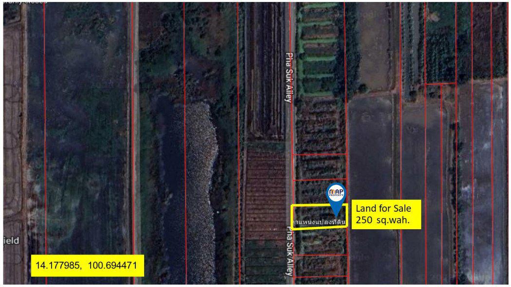 รูป ขาย ที่ดิน - 2 งาน 50 ตร.วา ที่ดินสวนเกษตร คลองสี่ คลองหลวง น้ำ ไฟ พร้อม
