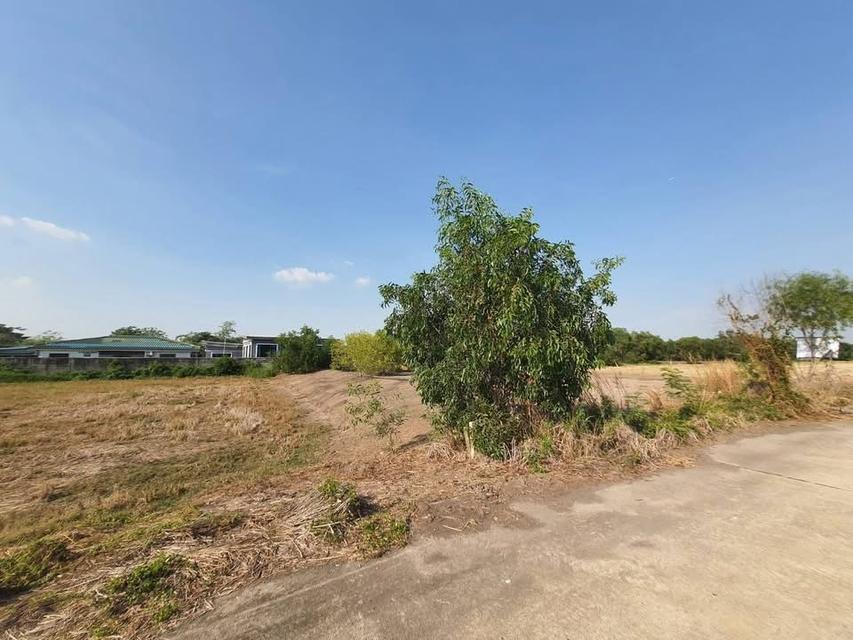 ขายด่วน !! ที่ดินคลองห้า 1 ไร่ ถมแล้วทั้งแปลง ติดถนนคอนกรีต กลั่นกรอง อ.คลองหลวง จ.ปทุมธานี 8