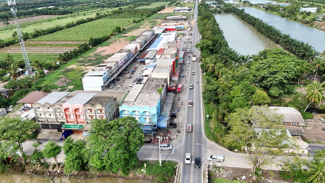 ขายที่ดินเงินผ่อนตำบลบึงบอน อำเภอหนองเสือ ปทุมธานี 11