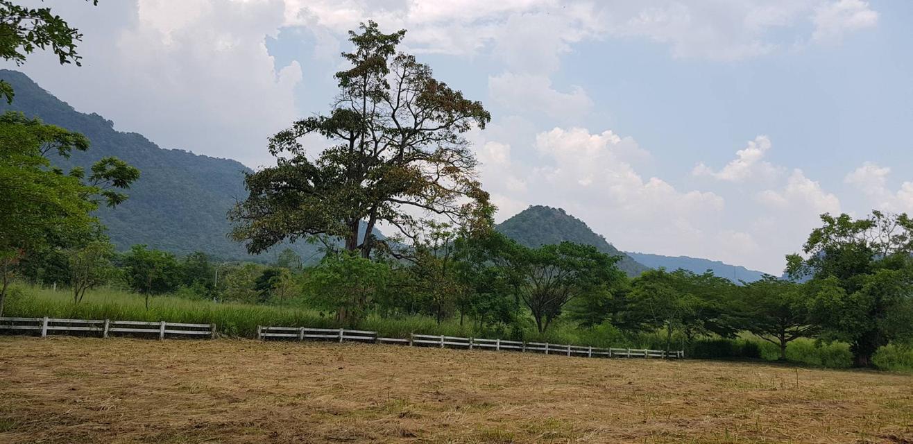 ขายที่เขาใหญ่ โครงการเขาพระนอน 387ตร.ว-2ไร่ ที่สวย กุดคล้าผ่านศึก หมูสี เหวปลากั้ง วิวเขาสวย เดินทางสะดวก มี รปภ ดูแลความปลอดภัยตลอด 0879074045