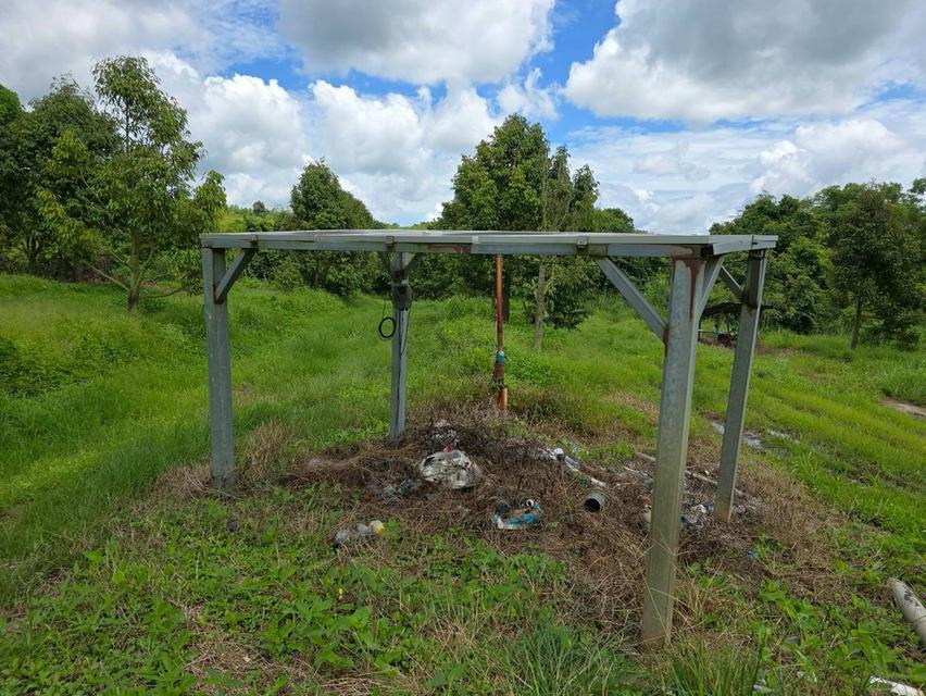 ขาย สวนเกษตร ฟาร์ม 914.75 ไร่ 18