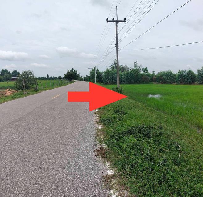 ที่นาจังหวัดร้อยเอ็ด 33 ไร่ อำเภอสุวรรณภูมิ ราคาต่อรองได้ 3