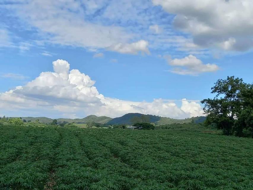 ขายที่เขาใหญ่ 15 ไร่ วิวสวย หนองสาหร่าย ปากช่อง-เขาใหญ่ ติดลาดยาง ใกล้เส้น 2235 เพียง 600ม. ทำเลดีมาก เหมาะสร้างบ้าน รีสอร์ท แบ่งแปลงขาย ขายถูกที่สุด