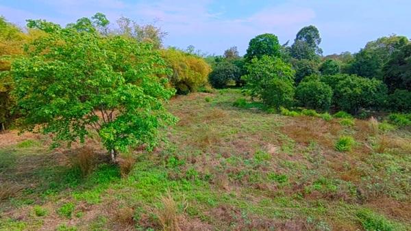 ที่ดินEEC ทำเลทองในระยอง แปลงสวยติดถนนใหญ่ ที่ดินศักยภาพสูง ใกล้สนามบินอู่ตะเภา เพียง 15 นาที!! โทร 064-5469789 10