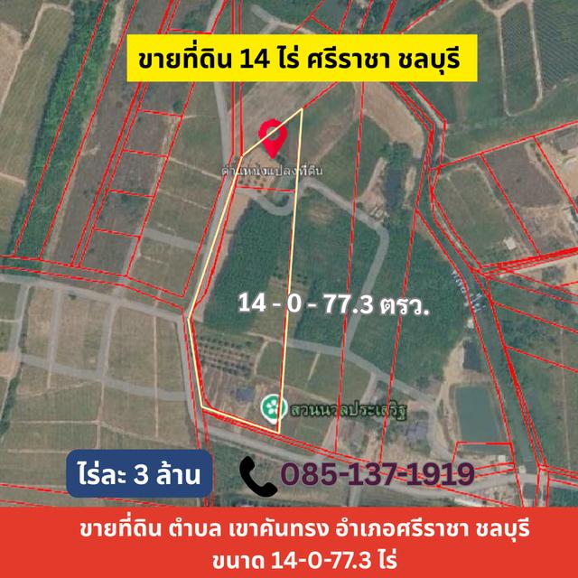 ที่ดินศรีราชา14ไร่ มาบเอียง เขาคันทรง 1