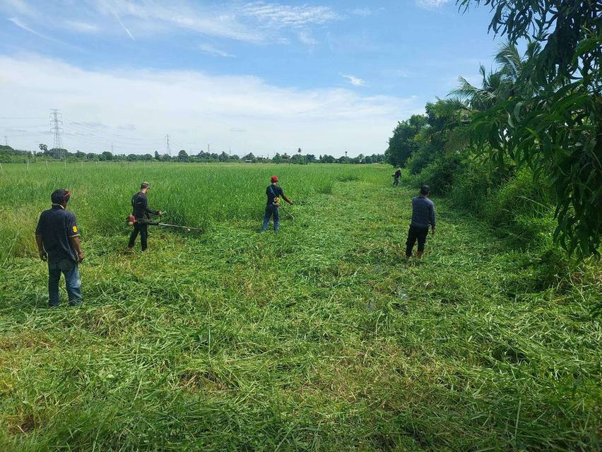 ขายที่ดินเปล่าถมแล้ว 4 ไร่ พร้อมโฉนด ที่ดินสวยบรรยากาศดี ถ.เลียบคลองตับผักชี ลาดหลุมแก้ว ปทุมธานี 4