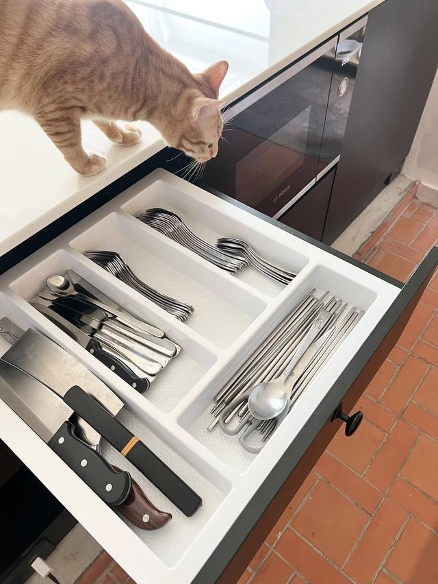 Luxury home Rent "Villaggio 3 ศรีนครินทร์ – บางนา" 18