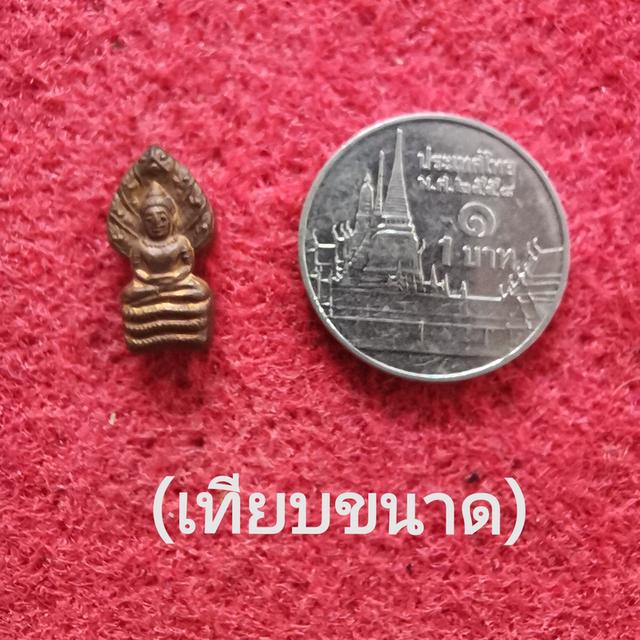 พระนาคปรกใบมะขาม รุ่น "เสาร์ ๕ คูณพันล้าน" ปี พ.ศ.๒๕๓๗ รูปที่ 3