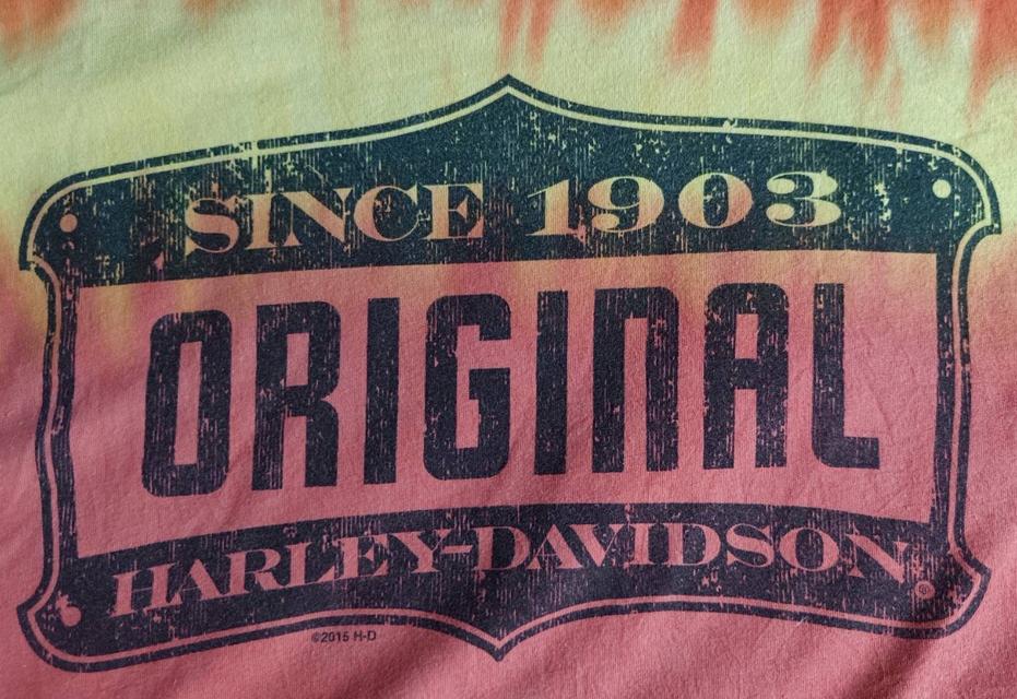 Haley Davidson brackdiamond tshirt รูปที่ 4