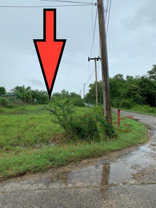 ขายที่ดินเปล่า ทำเลดี อำเภอกาญจนดิษฐ์ จังหวัดสุราษฎร์ธานี 3