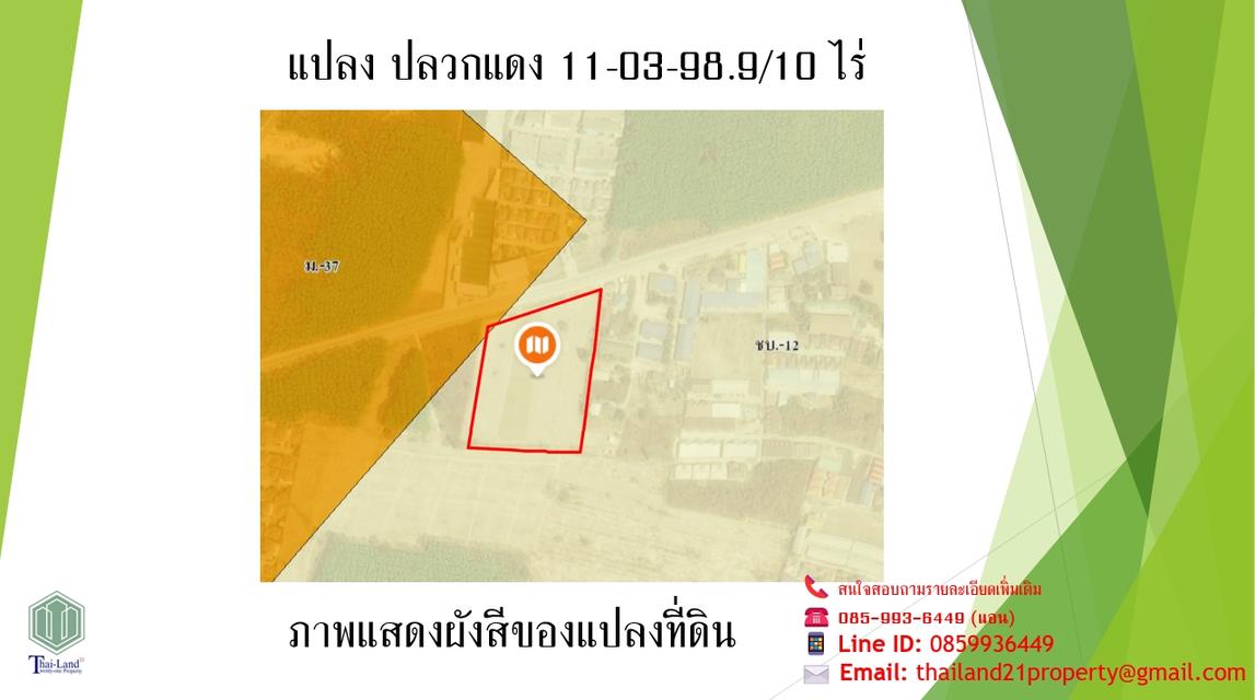 ขายที่ดินสีเหลือง อำเภอปลวกแดง จังหวัดระยอง  เนื้อที่ 11 ไร่ 3 งาน 98.9 ตารางวา 3