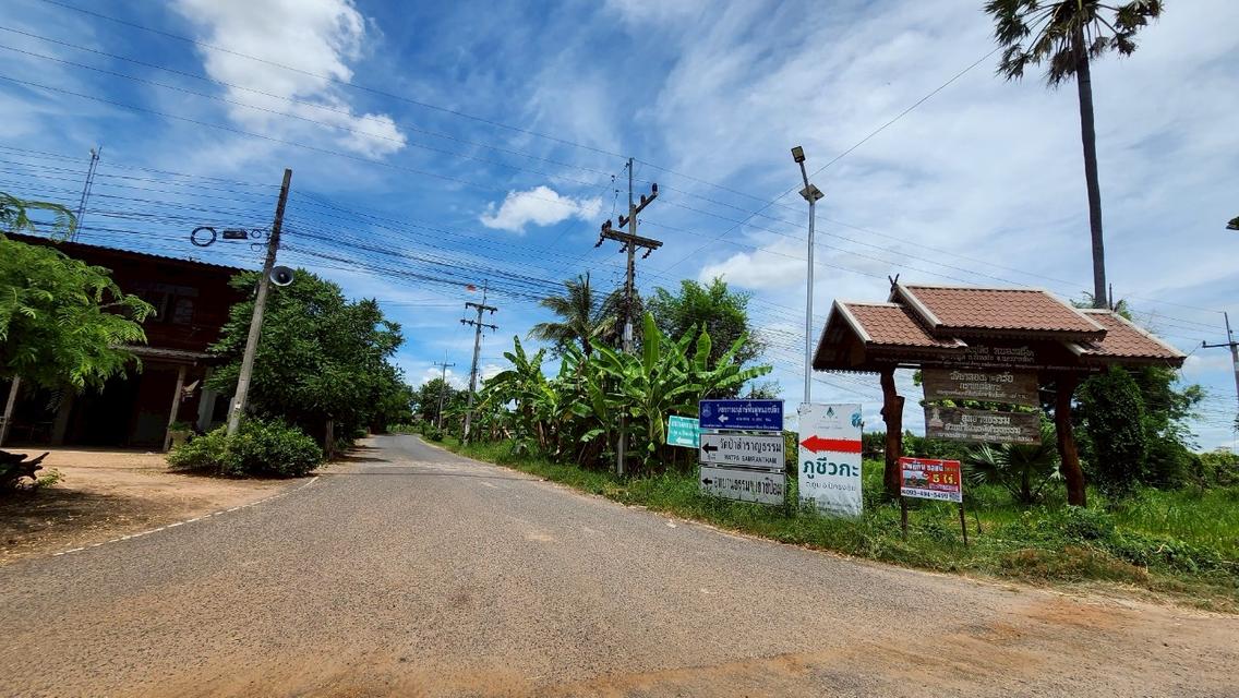 ที่ดินหลุดจอง.ทำเลดี ใกล้.เขื่อนลำพระเพลิง. 5 ไร่. เพียง2.5 ล้านบาท (จากเดิม 4 ล้านบาท ) | ( 1,250 บ./ตร.ว ) 7
