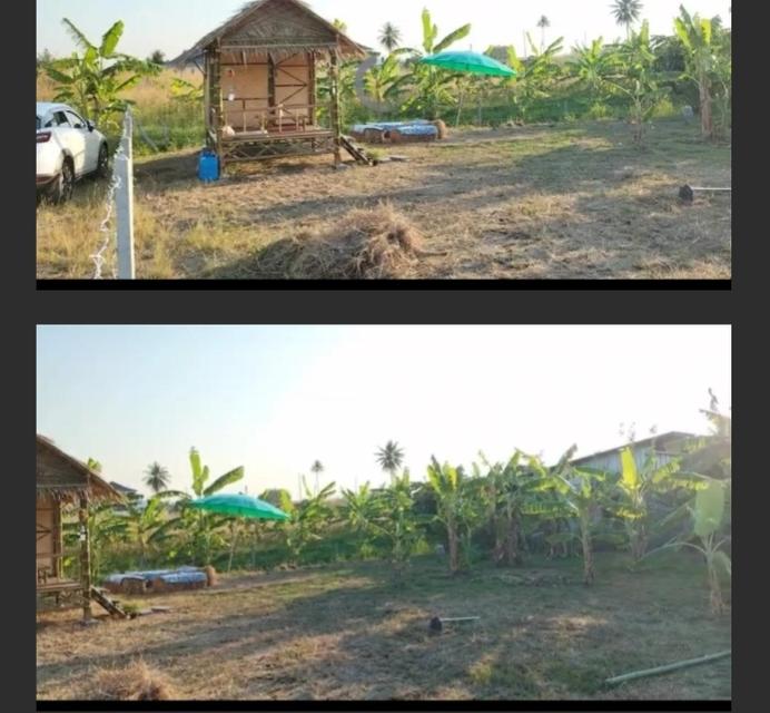 ที่ดิน100ตรว. 3
