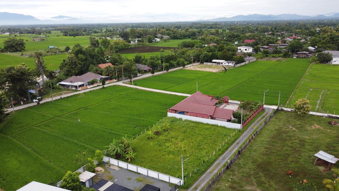 ขายที่ดิน 211 ตร.ว. ถมแล้ว วิวดอยสวย ติดถนนคอนกรีต พร้อมน้ำ-ไฟ-เน็ต 4