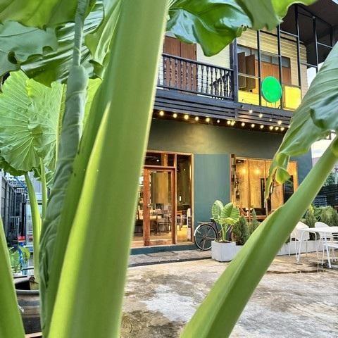 PB5857ให้เช่า บ้านเดี่ยว 2 ชั้น ย่านพหลโยธิน สะพานใหม่ บางเขน ใกล้ BTS สะพานใหม่ 450 เมตร เหมาะทำเป็นคาเฟ่ ออฟฟิศ สตูดิโอ ทำเลดี 2