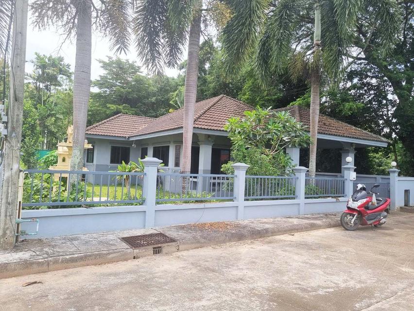 ✨ให้เช่าบ้านเดี่ยวชั้นเดียว ทำเลแม่ริม ใกล้รร.นานาชาติเปรม ✨ 9